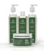 Rosemary Hair Growth Kit (Oil 100ml + Shampoo 280ml + Conditioner 280ml + Hair Mask 100g)